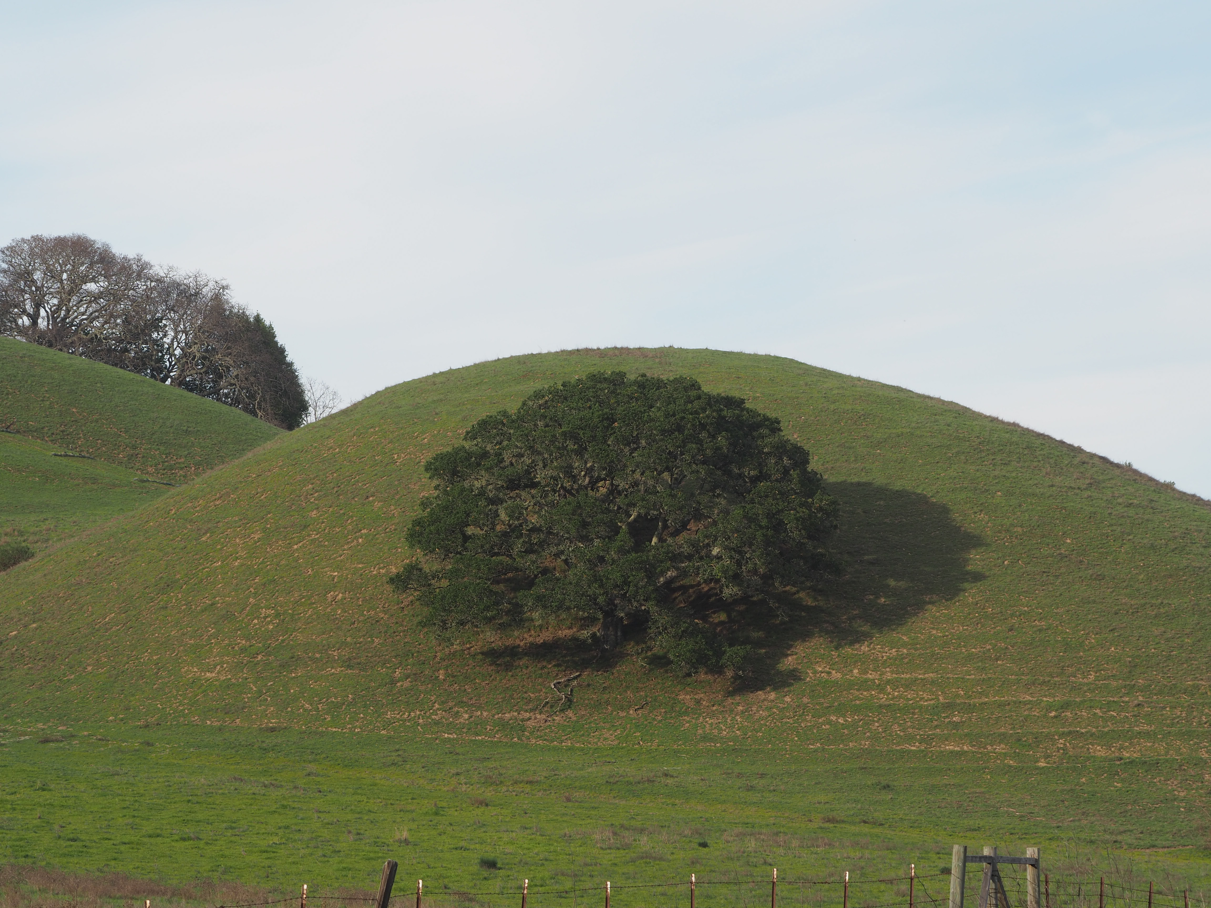 _A004139.jpg