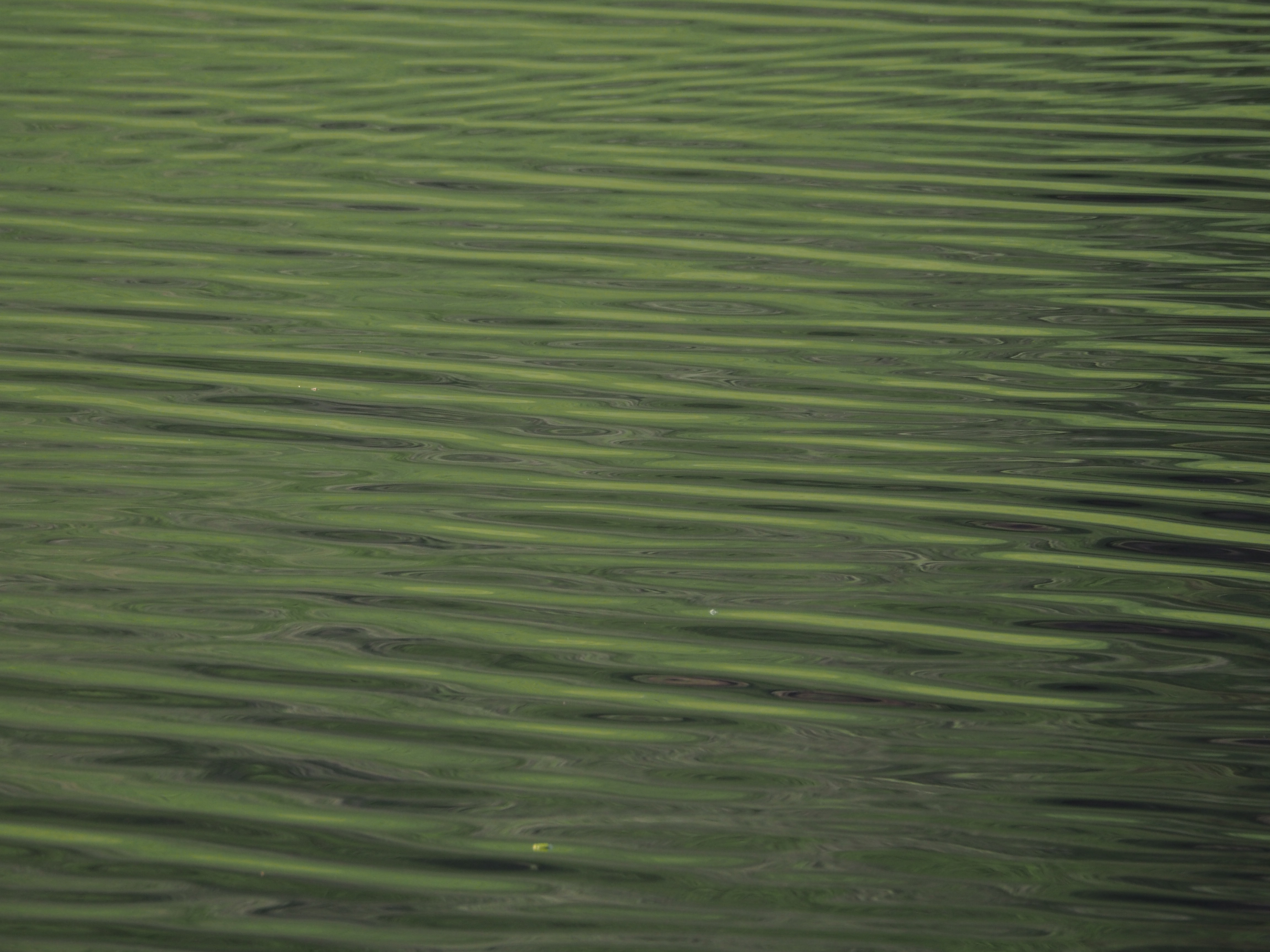 _A004157.jpg