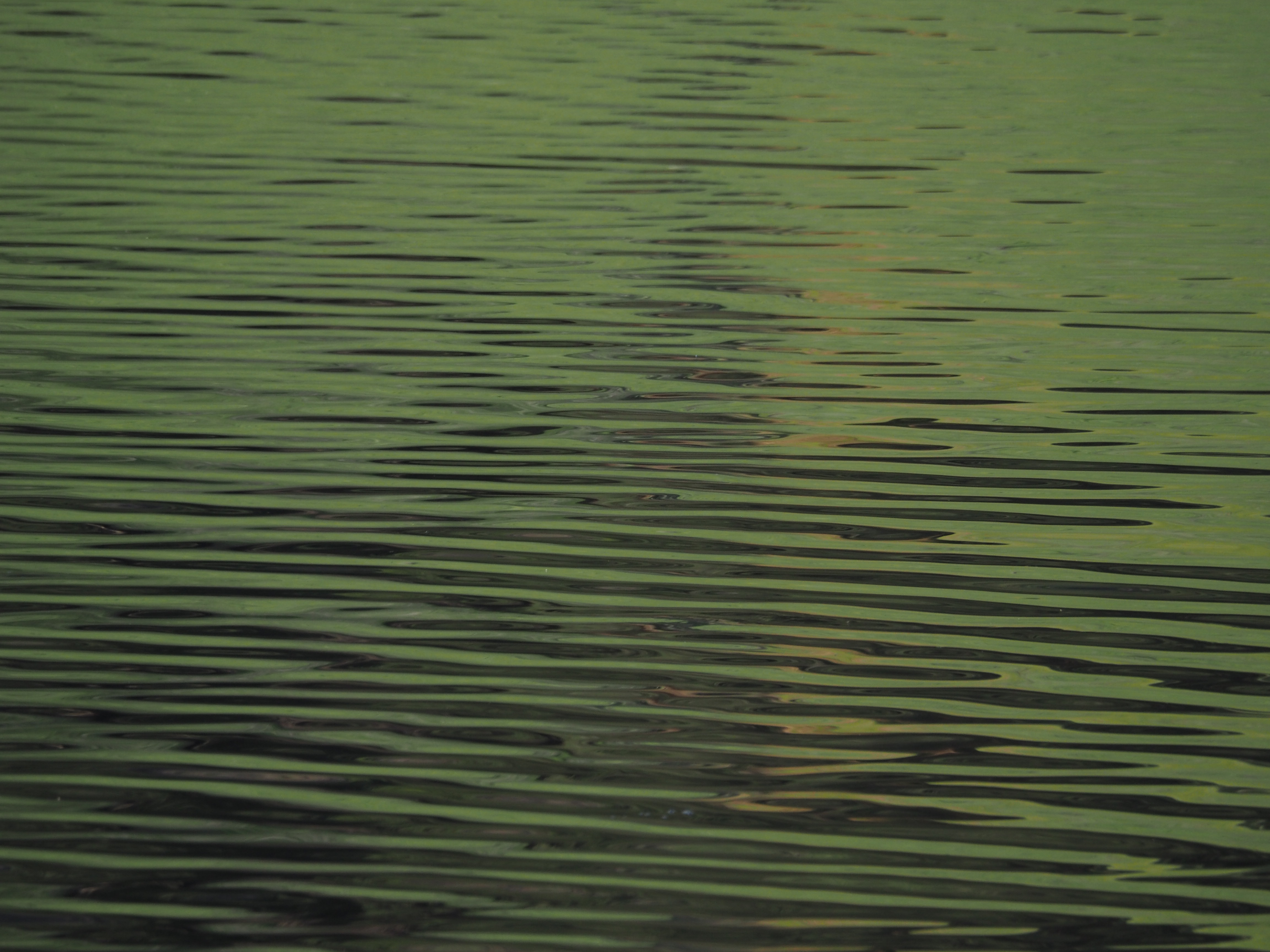 _A004158.jpg