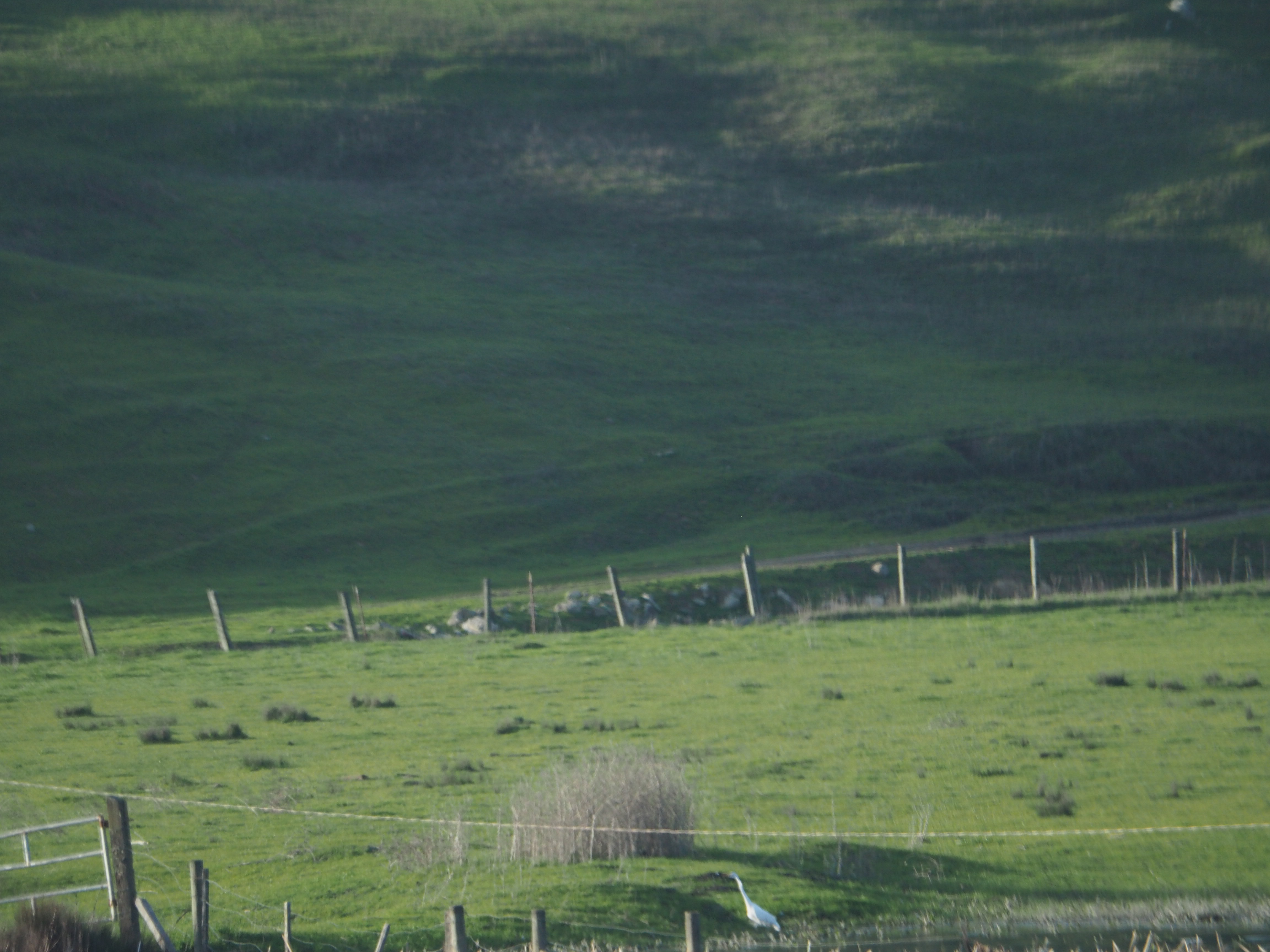 _A004165.jpg