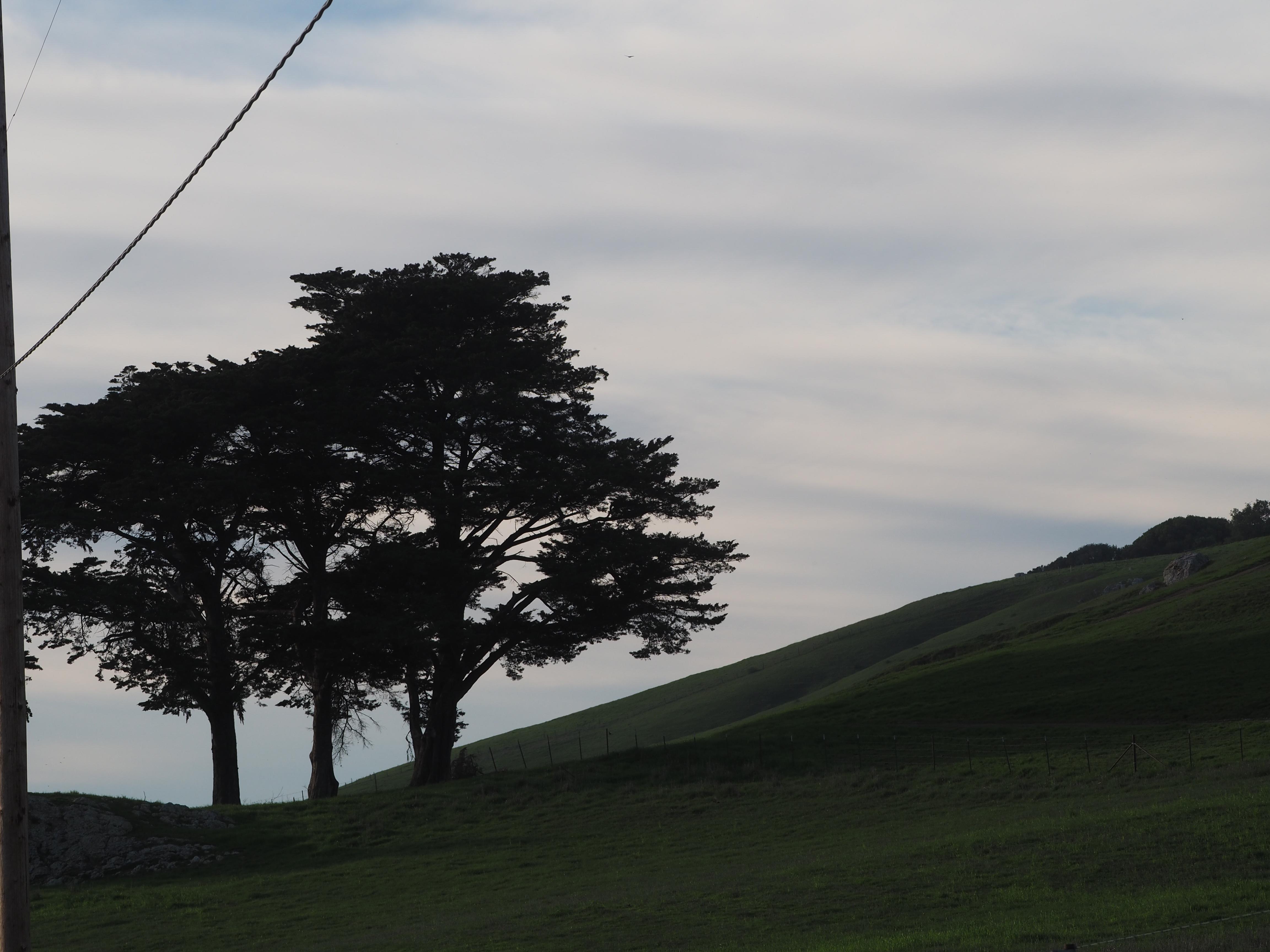 _A004178.jpg