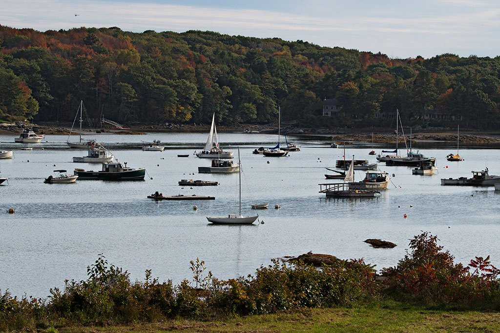 _A049658rotcroof20.jpg