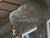  8300552oofm