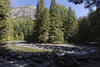 Avalanche Creek at the Venue