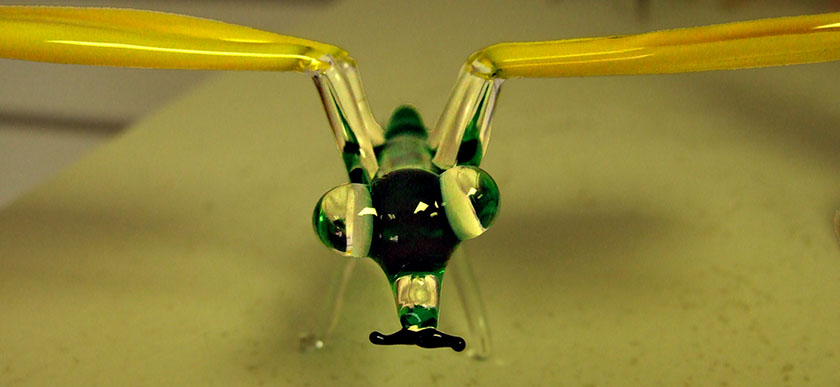 DSCF0201