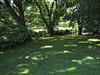 DSCF0110