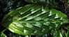 DSCF0132