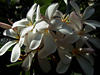 DSCF0139