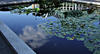 DSCF0143cr