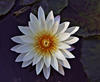 DSCF0146