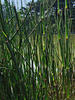 DSCF0171