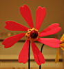 DSCF0203