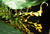 DSCF0124cr