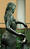 DSCF0134al