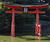 DSCF0154