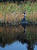 DSCF0177
