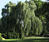 DSCF0190s