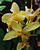DSCF0192