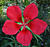 DSCF0199