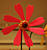 DSCF0203