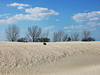 Sample image from gallery