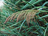 DSCF0068