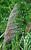 DSCF0065