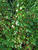DSCF0067