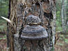 DSCF0620
