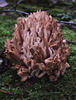 DSCF0628
