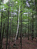 DSCF0632