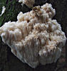 DSCF0634