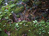 DSCF0642