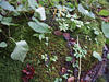 DSCF0643