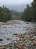DSCF0648