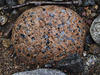 DSCF0653