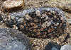 DSCF0654