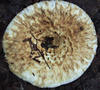 DSCF0666