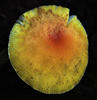DSCF0667