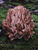 DSCF0628