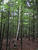 DSCF0632