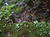 DSCF0642