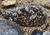 DSCF0654