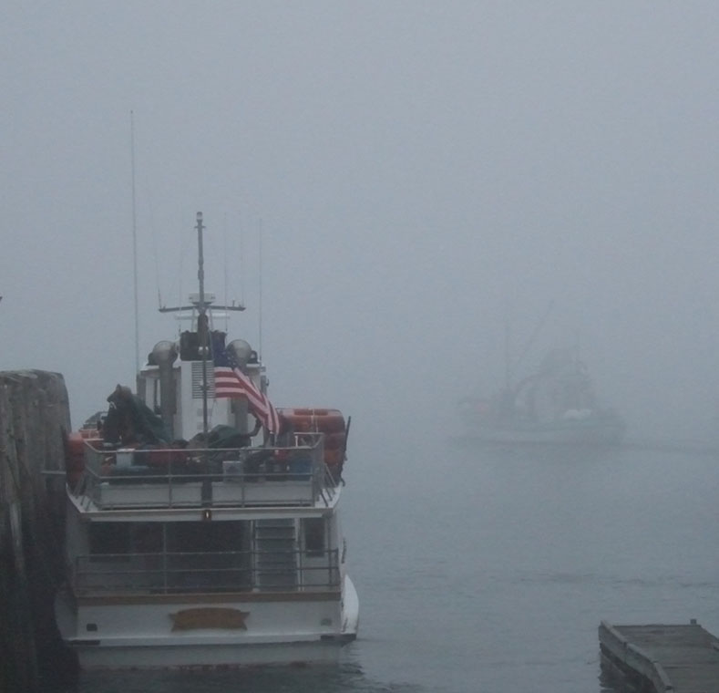 Monhegan Island Ferry & Ghost Boat