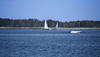 Sample image from gallery