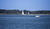 East side, Seawall Rd, So. of Manset, Mt. Desert Is, Maine