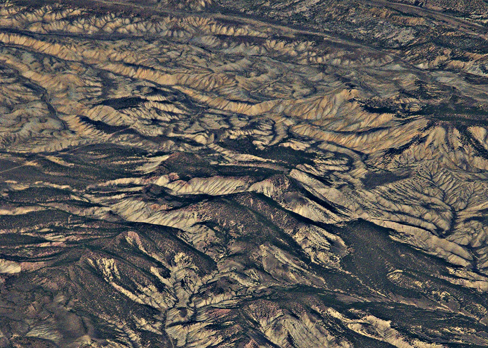 IMG 1501cria