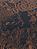 IMG 1486ia