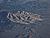 IMG 1489ia