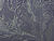 IMG 1502ia